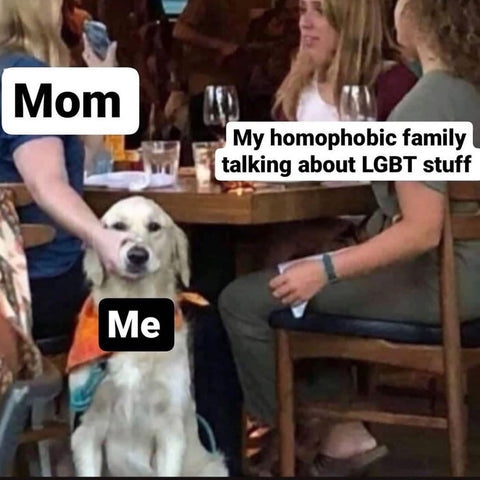 Best lgbt memes, homophobic family meme