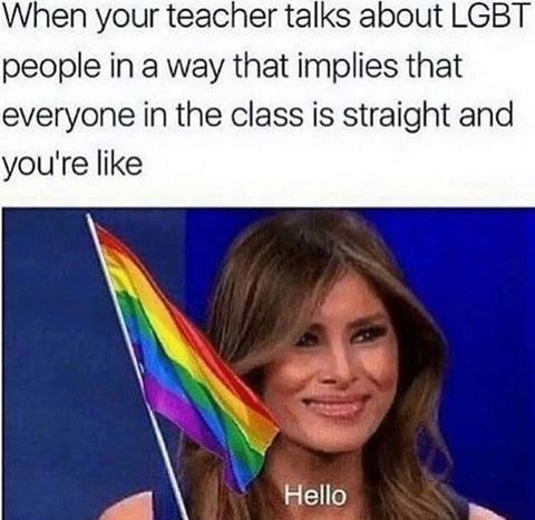 Best gay and lesbian memes, lgbt teacher meme