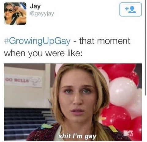 Top 30 LGBTQ+ memes selected by @lloydlabel community – Joshua Lloyd