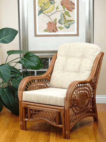 rattan and cane chair