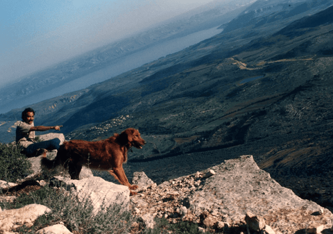 sitting above the Sea of Galilee