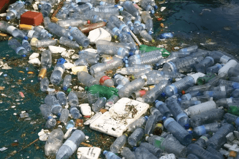 plastic bottles in the ocean