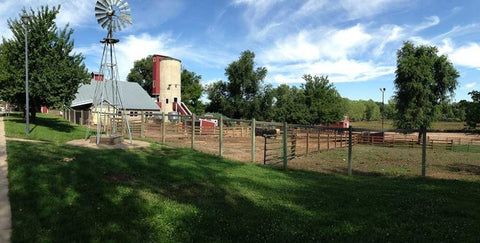 Farm at Lee Martinez Park 