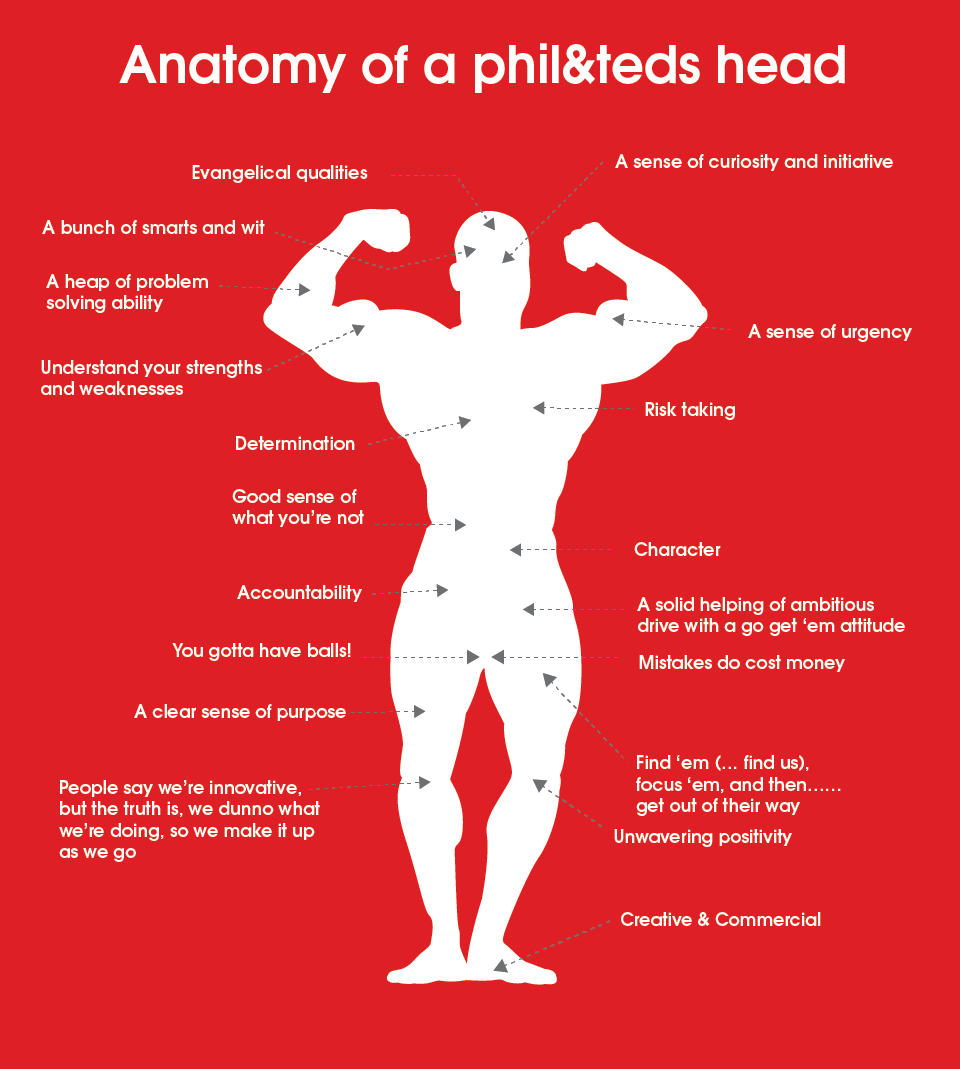 anatomy of a phil&teds head diagram