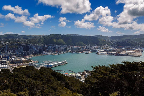 view of Wellington harbour