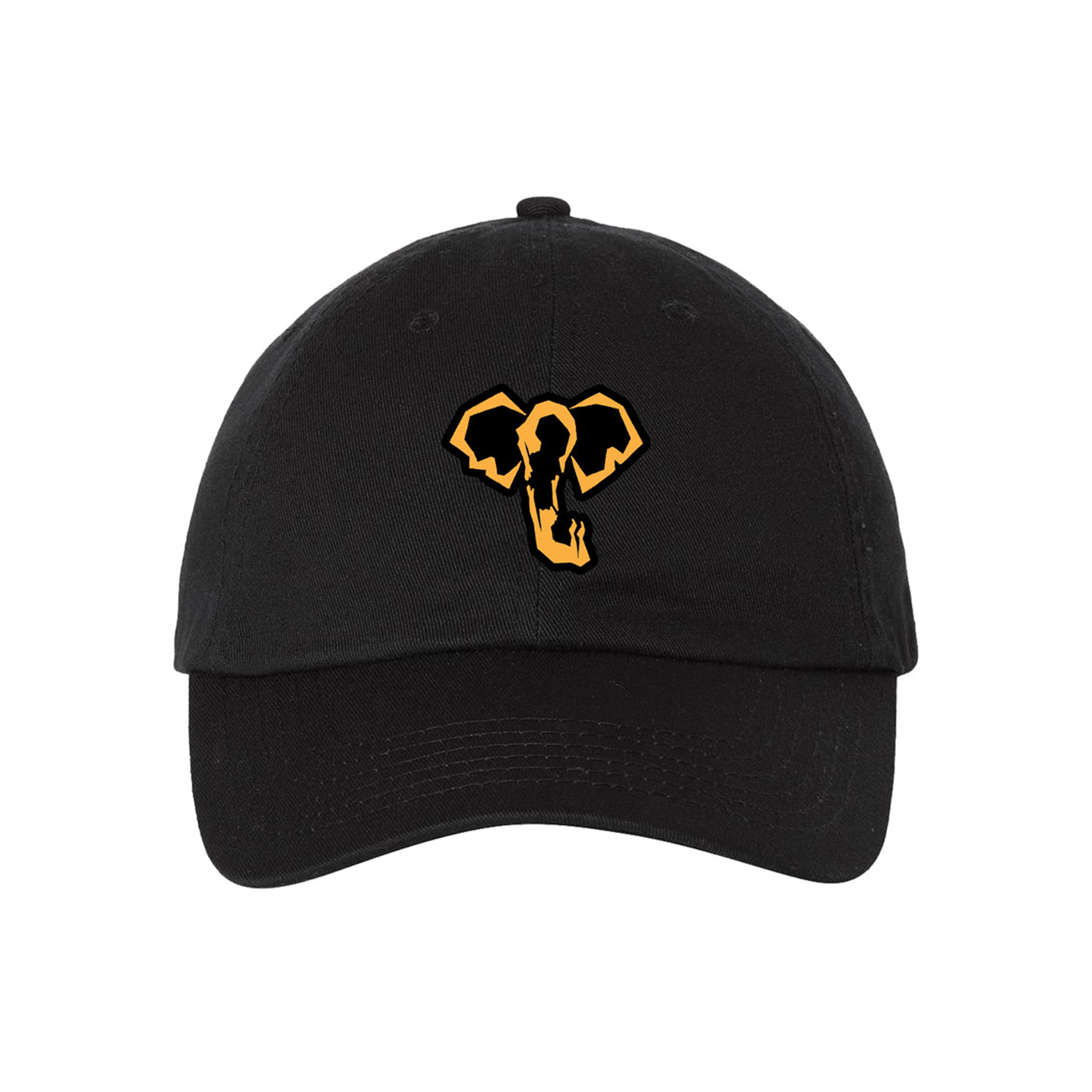 WATER FOR ELEPHANTS Logo Cap - Image 1