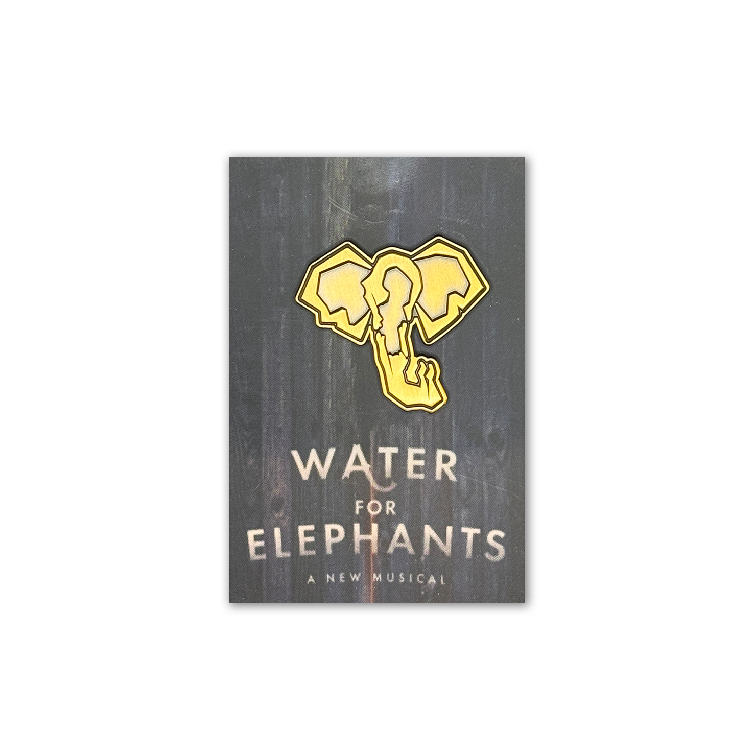 WATER FOR ELEPHANTS Logo Pin Image