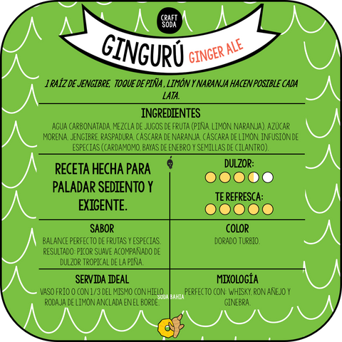 Resumen_Ginguru_480x480.png?v=1602290646