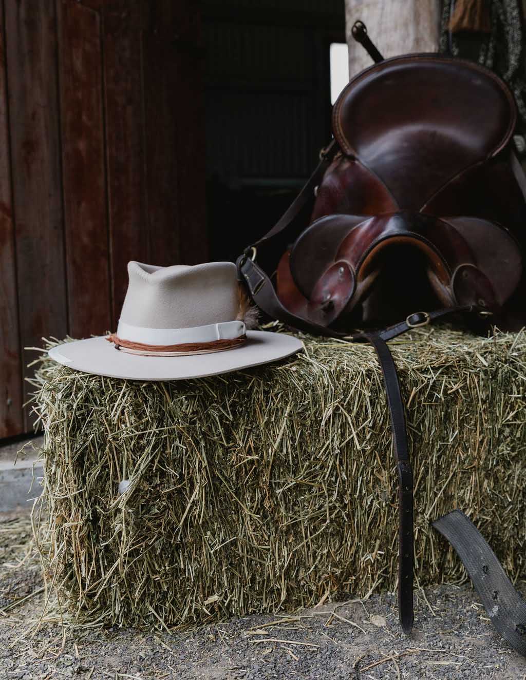 Saddle and hat on hay