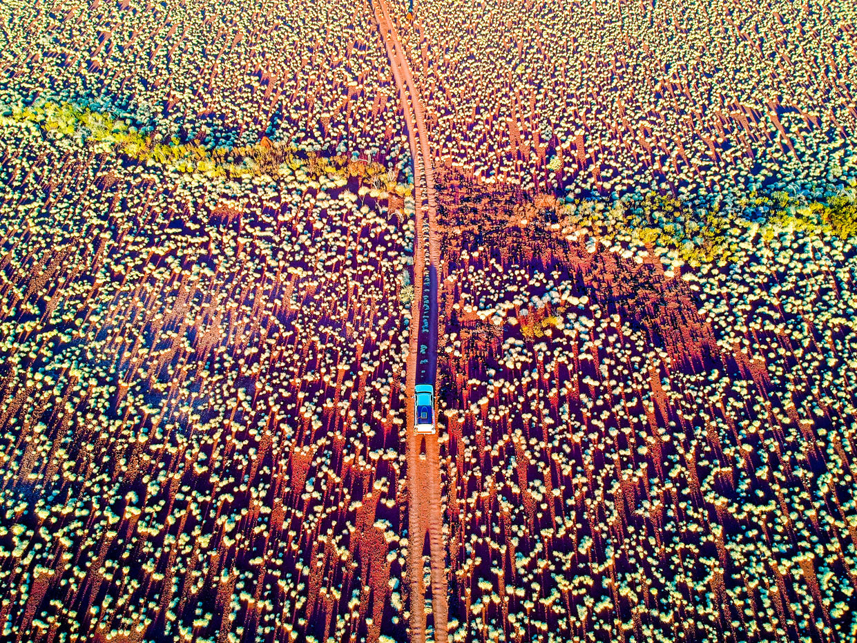 Aerial view of Car on Outback Road