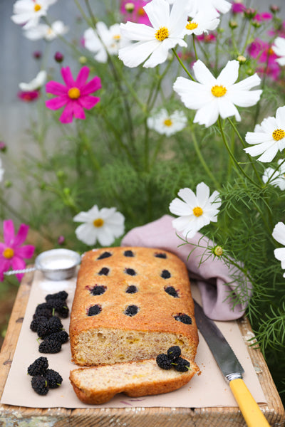 Bush Exchange - The Shady Baker: Spring Mulberry Loaf