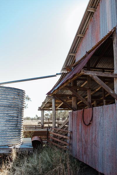 Bush Exchange x Pip Williams - Rae Crutching Shed