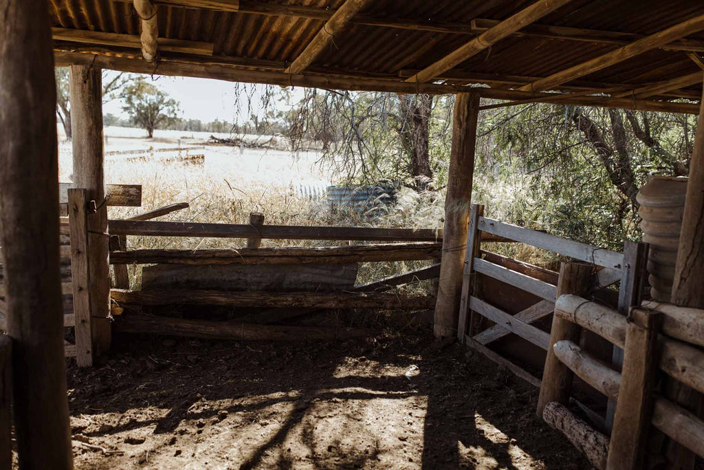 Crutching Shed