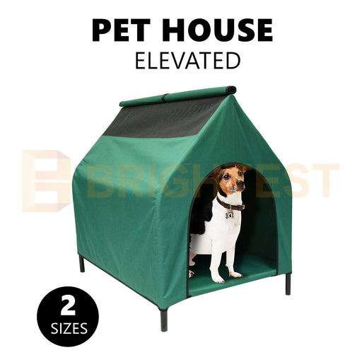 elevated small dog bed