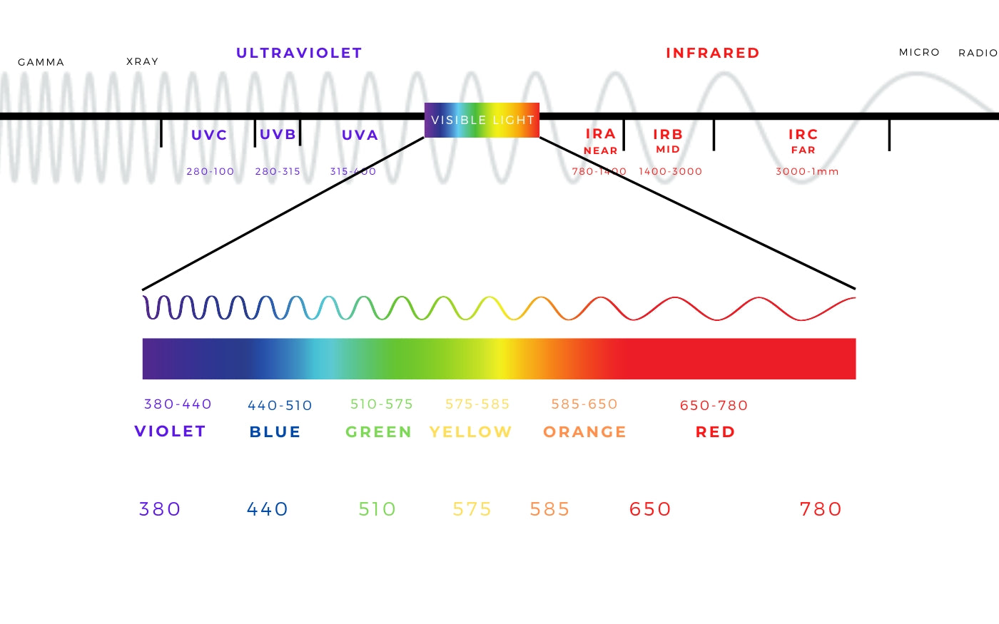 graphic of the visible spectrum of light