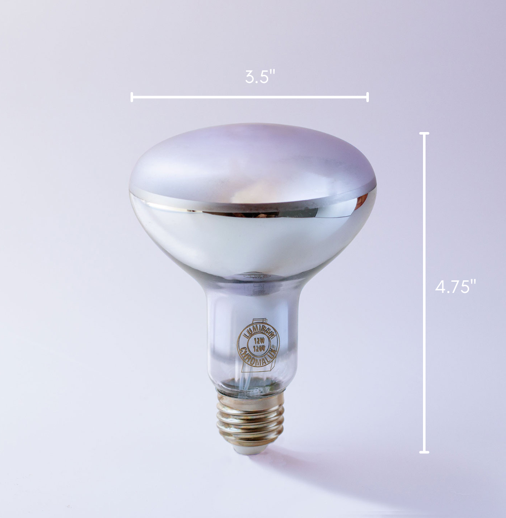 Heerlijk Afdeling reflecteren Chromalux® R30 Full Spectrum Healthy LED Flood Light Bulb
