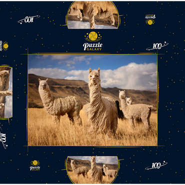 Lamas (Alpakas) in den Anden, Peru, Südamerika 100 Puzzle Schachtel 3D Modell