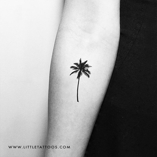 Palm Tree Temporary Tattoo - Set of 3 – Little Tattoos