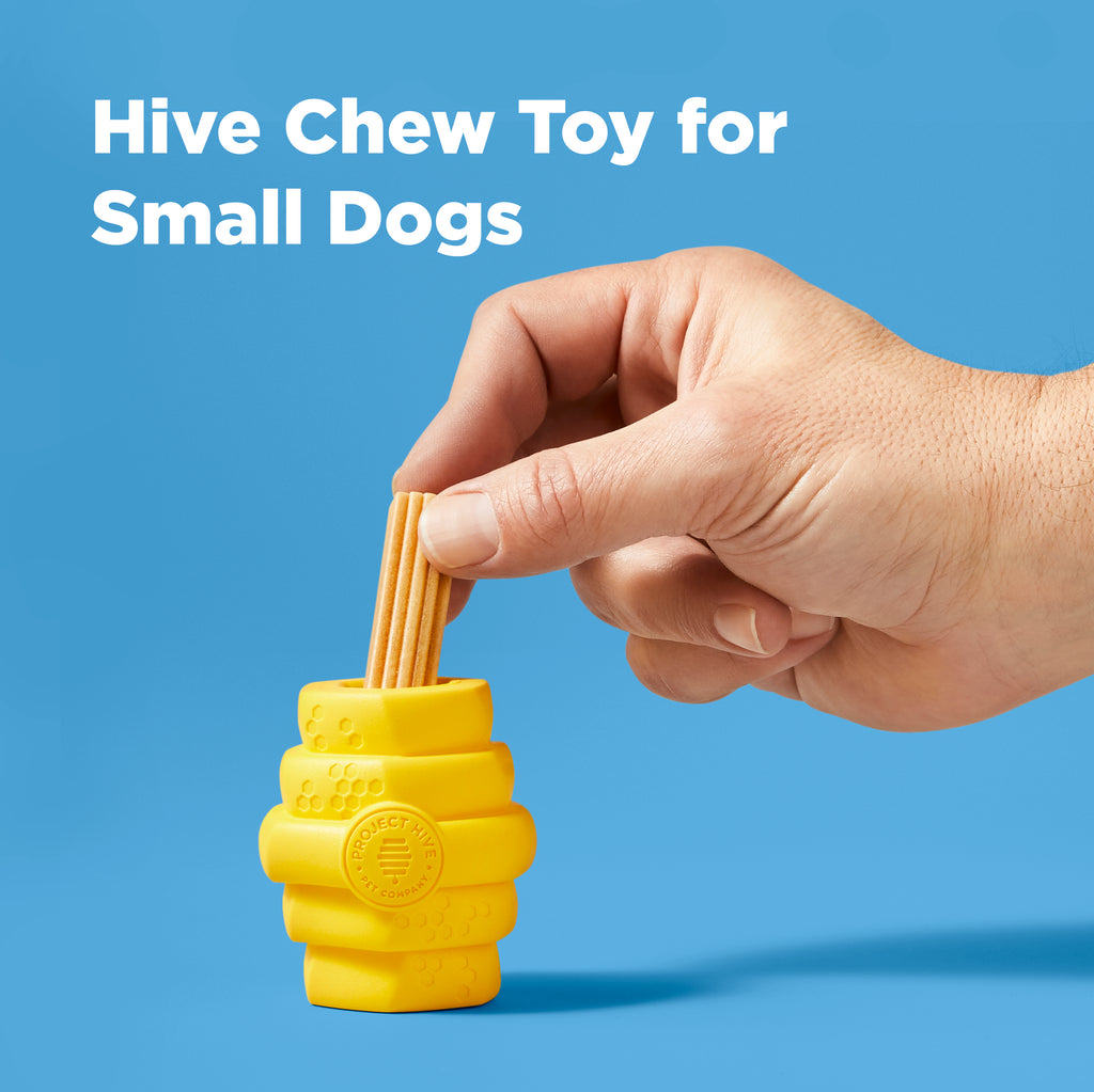 Interactive dog toys for small dogs