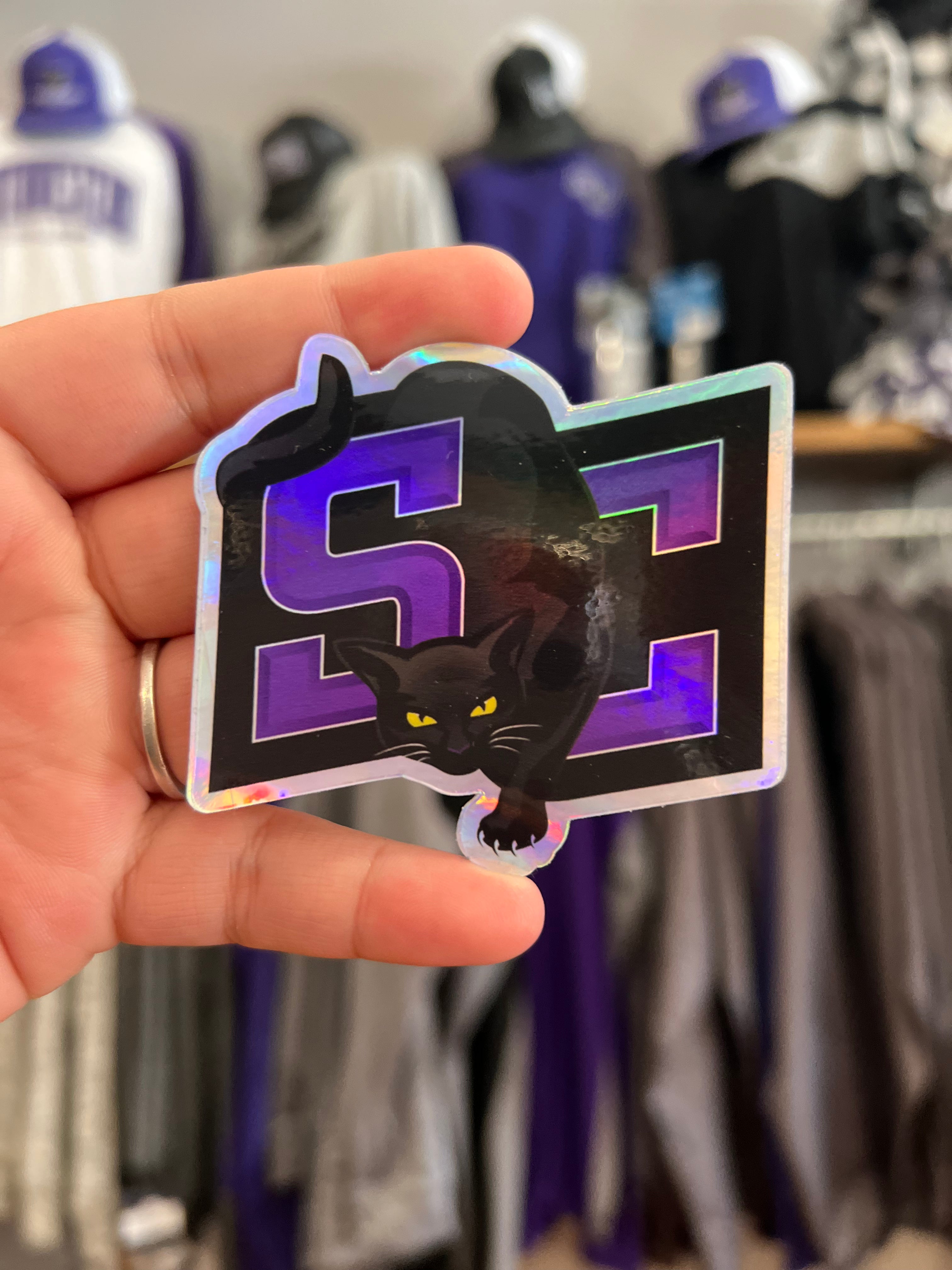 SC Prowler Decal