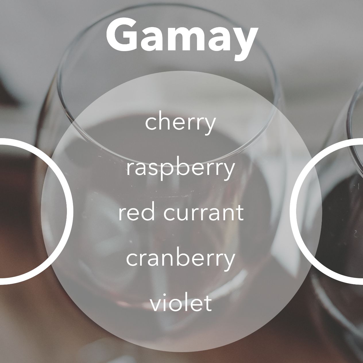 Gamay wine tasting notes.