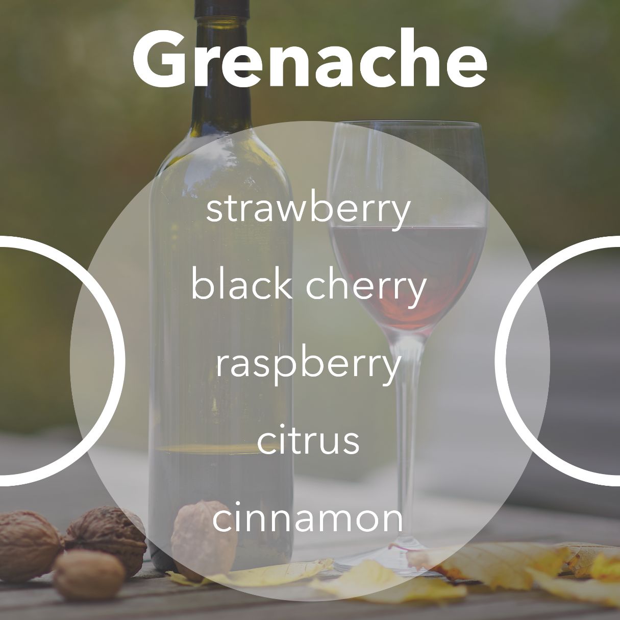 Grenache wine tasting notes.