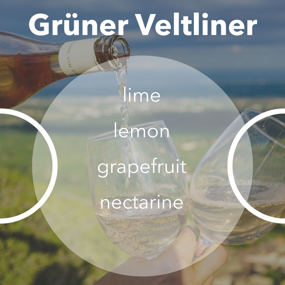 Gruner Veltliner wine tasting notes.