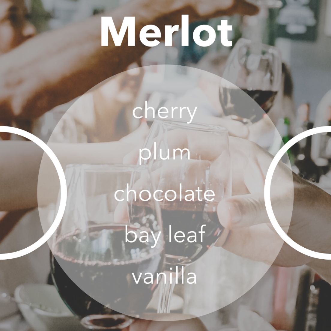 Merlot wine tasting notes.