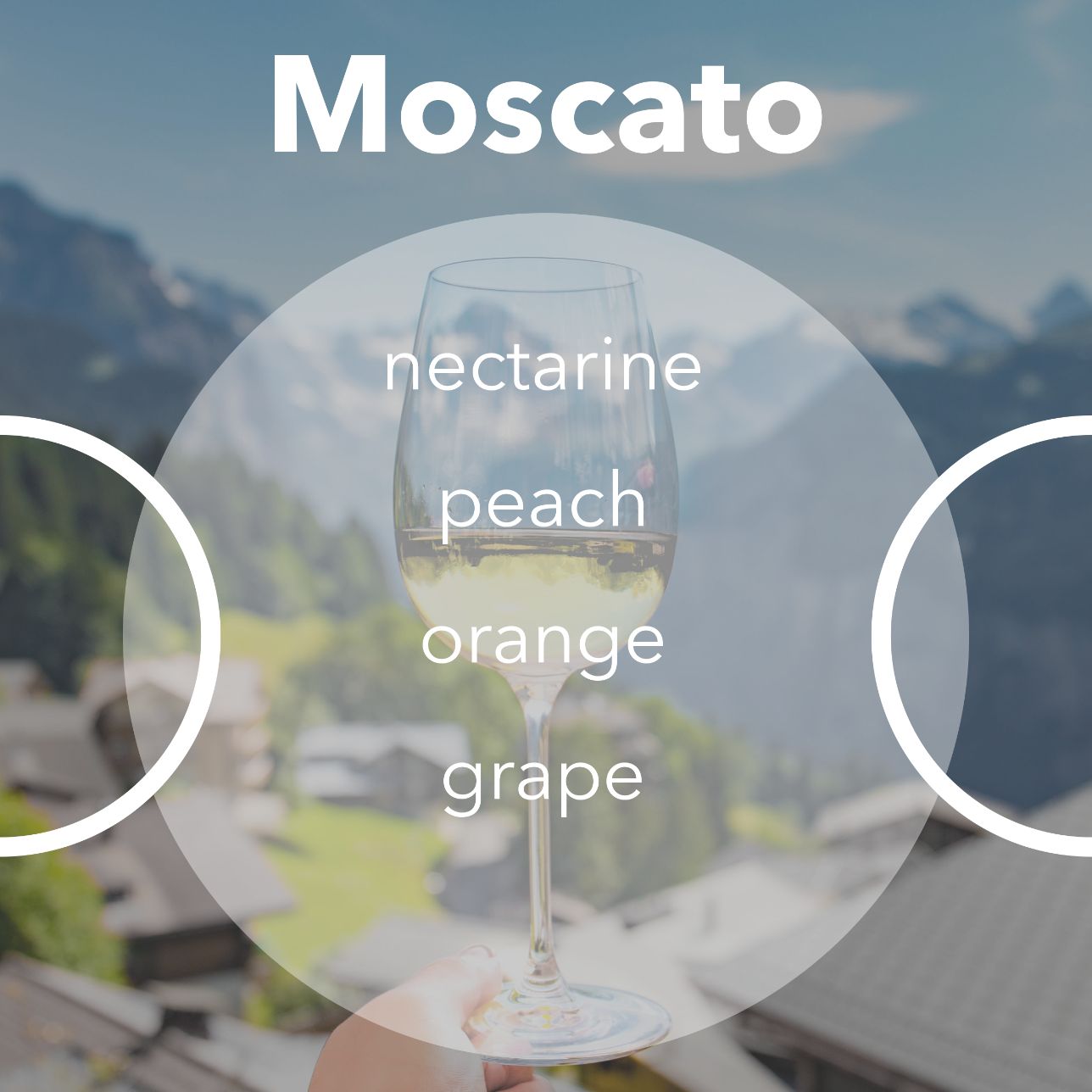 Moscato wine tasting notes.