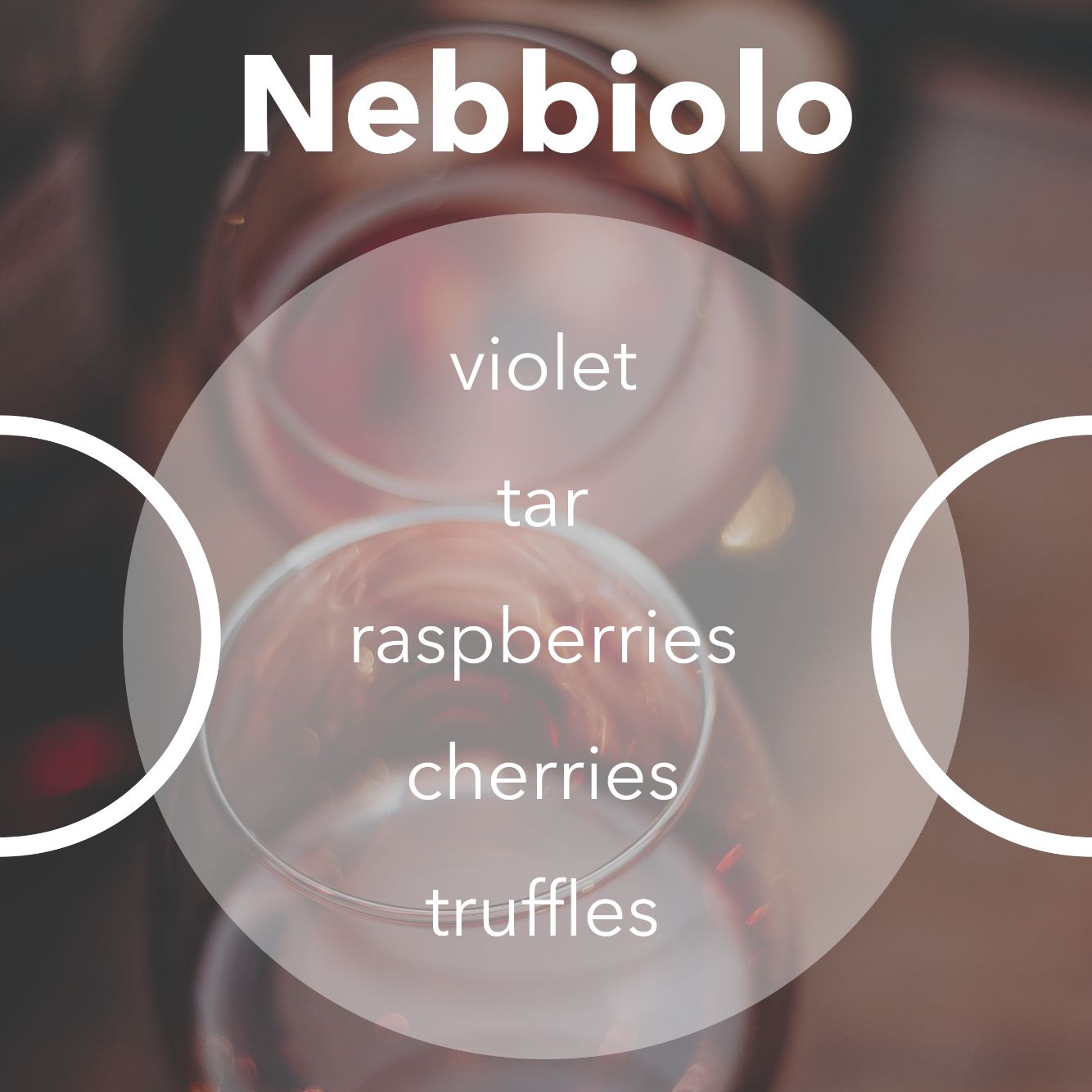 Nebbiolo wine tasting notes.