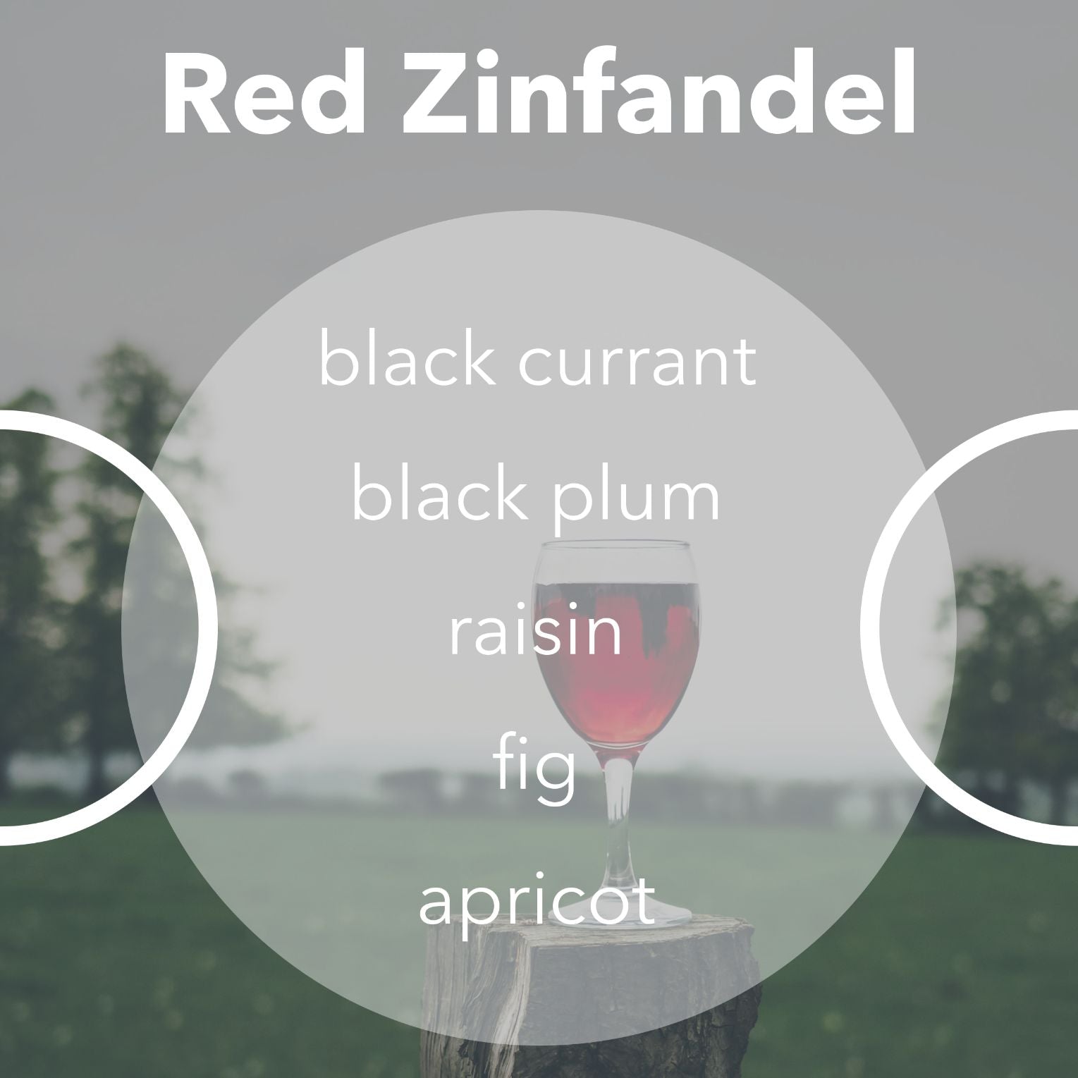 Red Zinfandel wine tasting notes.