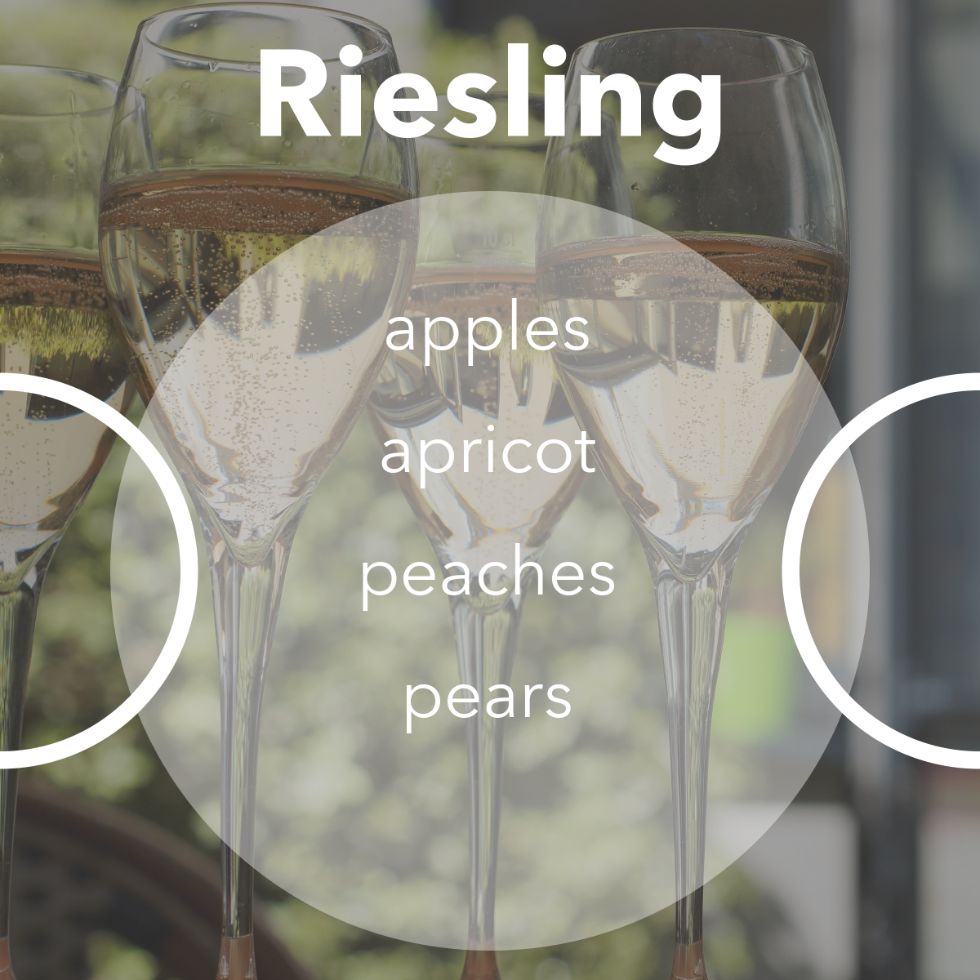 Riesling wine tasting notes.