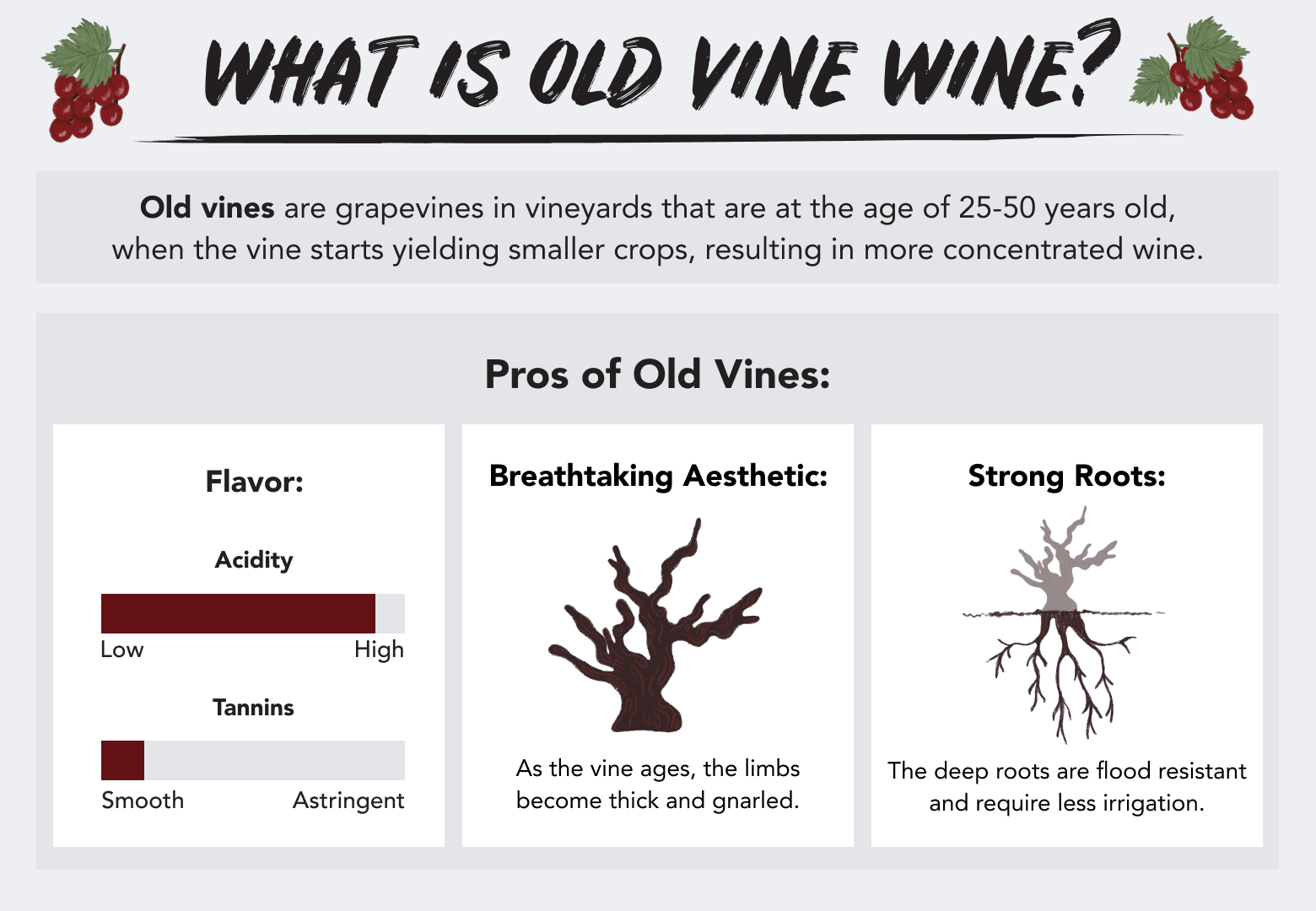 What is old vine wine?