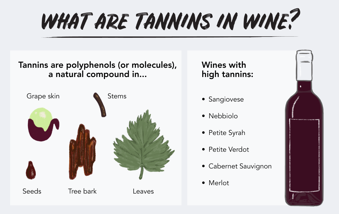 What are tannins in wine?