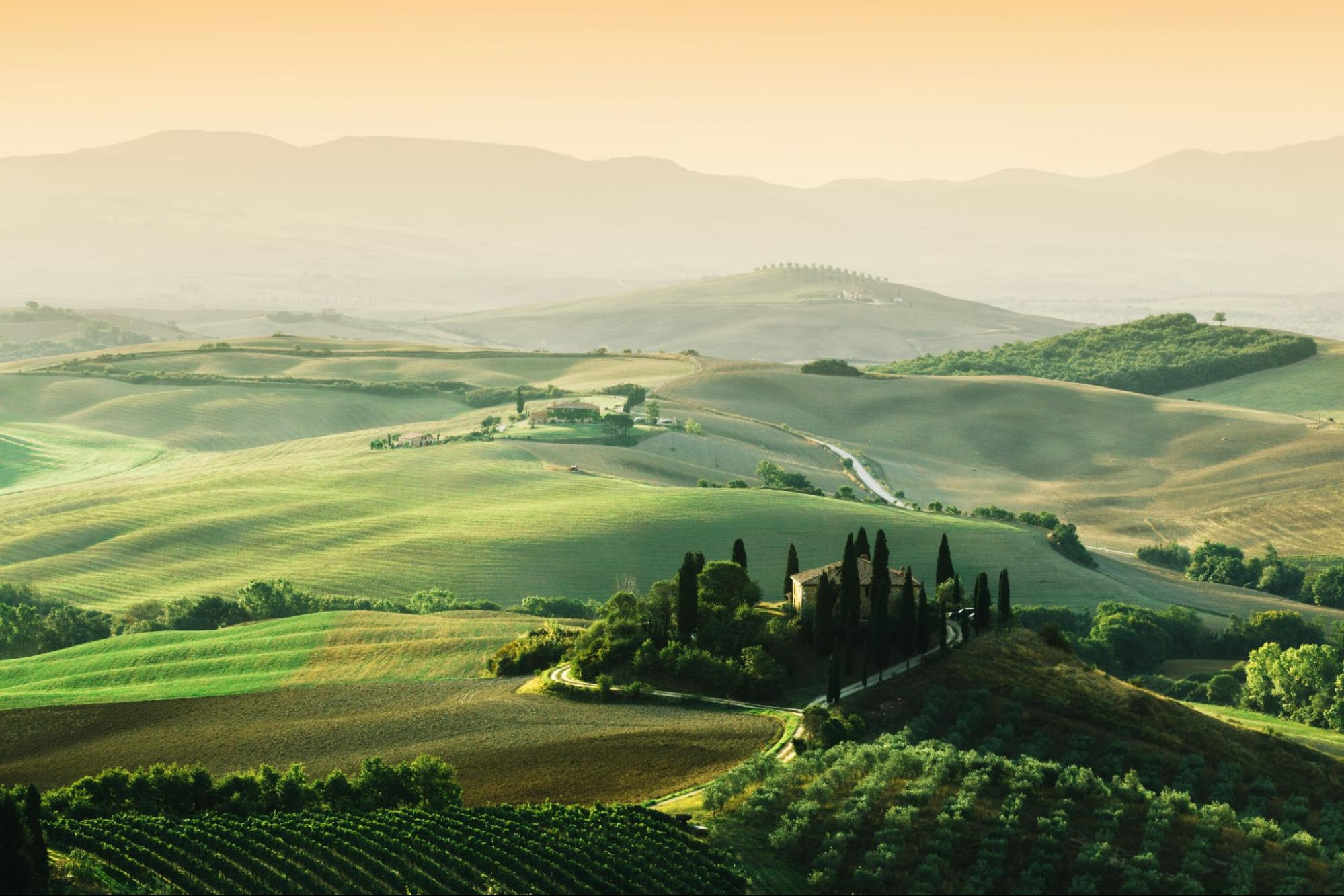 The Ultimate “Super Tuscan” Wine Guide – Wine Insiders