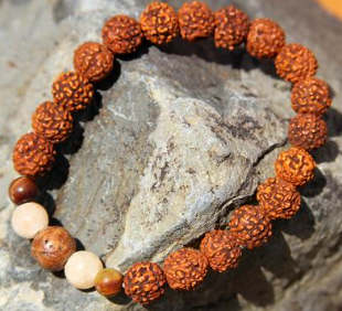 buddha chitta seeds, buddha chitta bracelets, rudraksha seeds, wrist malas, sacred seeds, fair trade, global groove life, conscious consumer 