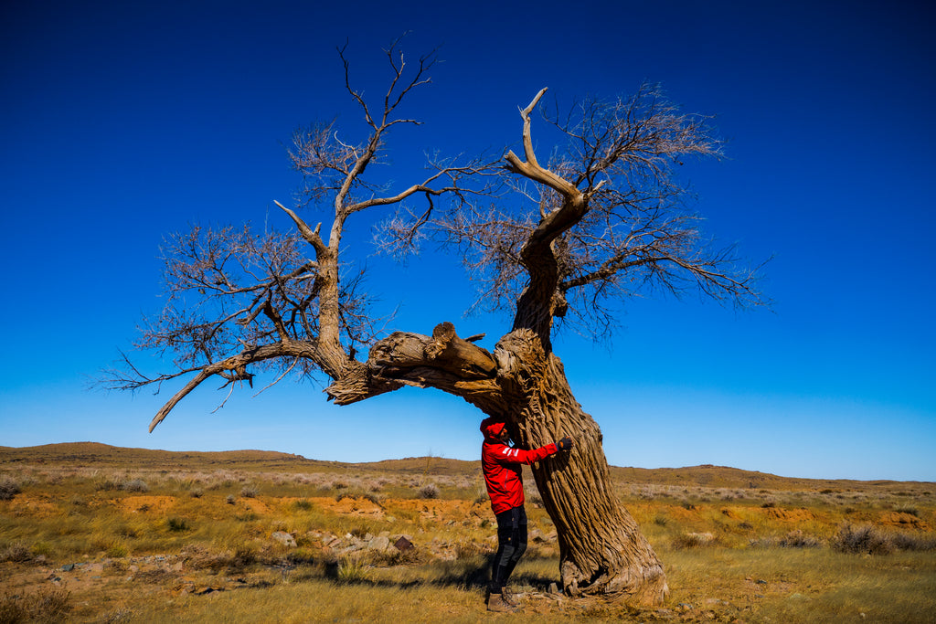 Mateusz Waligora solo crossing gobi desert lyofood