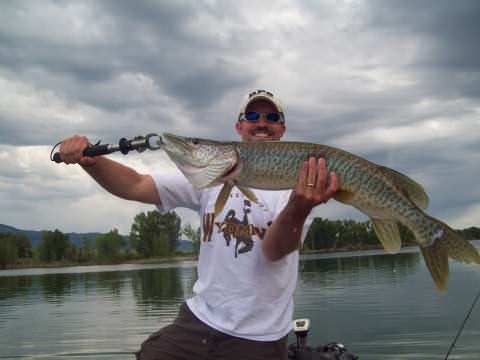 Patrick Edwards Tiger Muskie