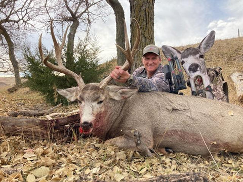 Tim Gillingham Mule Deer Buck