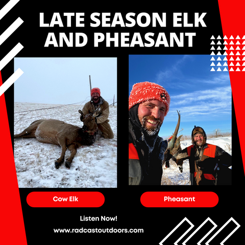 Late Season Cow Elk and Pheasant Hunting
