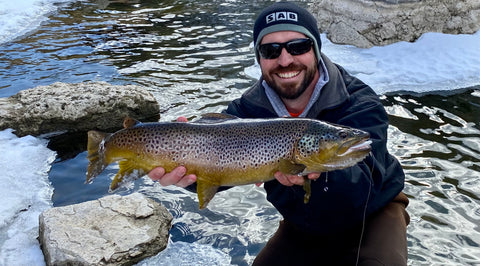 Patrick Edwards Brown Trout