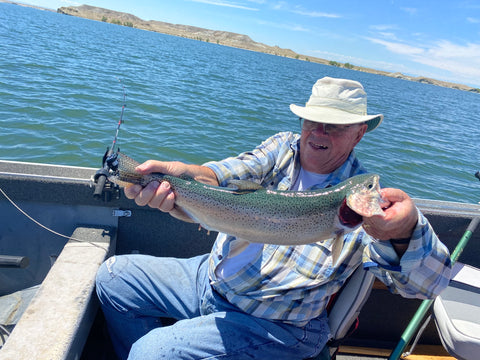 Hall Stoddard Rainbow Trout