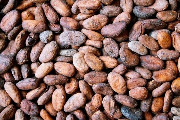 Cacao-Nibs-Benefits