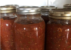 Wayless.ca Salsa Recipe