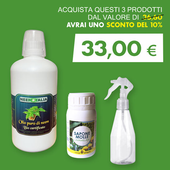 Olio di neem un prodotto da tenere sempre in casa 