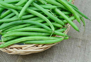 Stringless Green Beans 1 lb bag - Global Food Providers