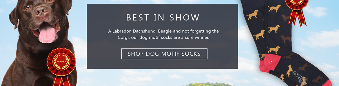 Dog socks 