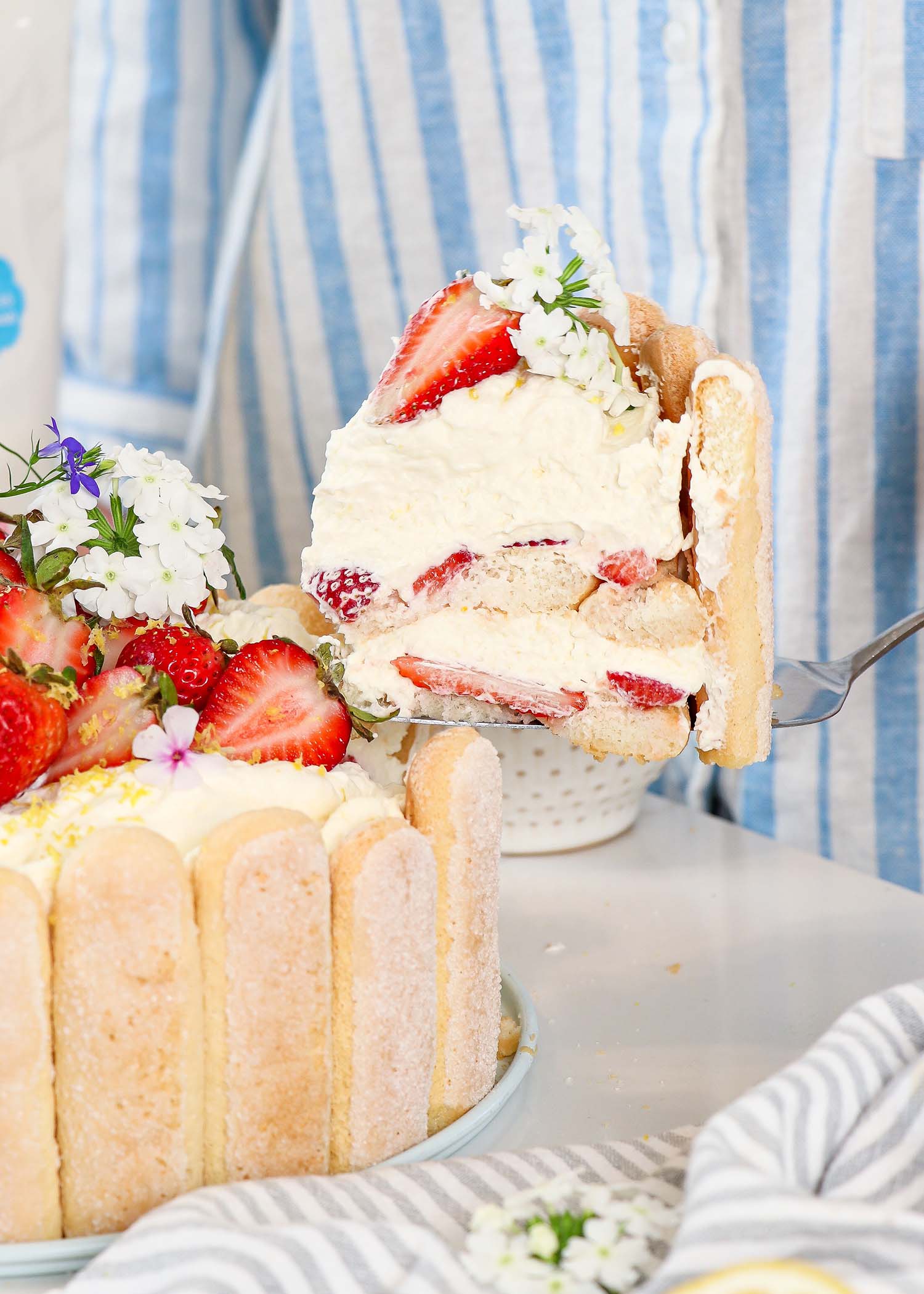 Strawberries and Cream Charlotte Cake by curlygirlkitchen, Quick & Easy  Recipe