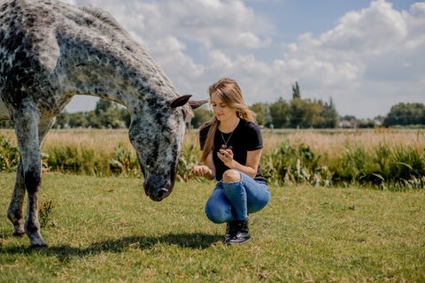 Celine Schiks - From Nature To Health, Natuurgeneeskunde bij zomereczeem en jeuk bij paarden, The Natural Way Laura Cleirens