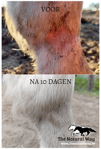 Mug oil - The Natural Way Laura Cleirens, 100% natural and sustainable product solution for horses with mug grater rain scab rain rot